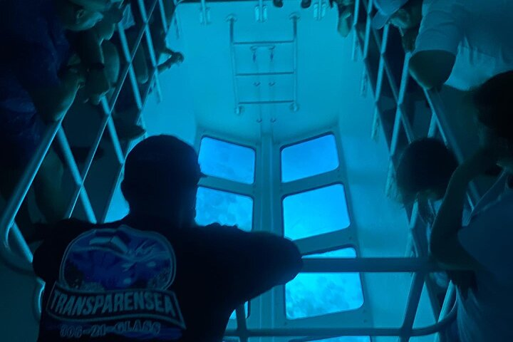 Night Tour Glass Bottom Boat in Islamorada - Photo 1 of 14